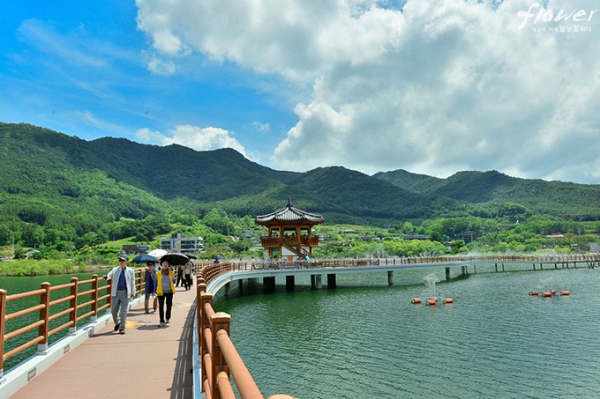 송해공원 (사진 대구시)
