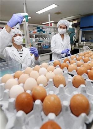 '살충제계란'이후 9개월… 우리지역 계란 안전할까?