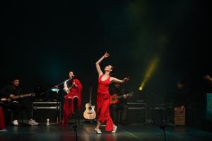 “올레! Flamenco alma lebre” 대구예술발전소 퓨전 댄스 공연 개최